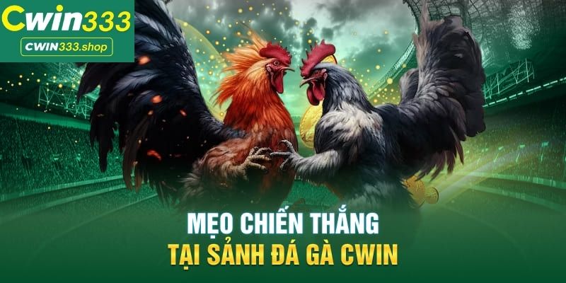 Mẹo chiến thắng tại sảnh đá gà Cwin333